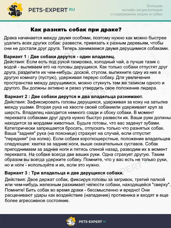 Что делать, если собаки сцепились