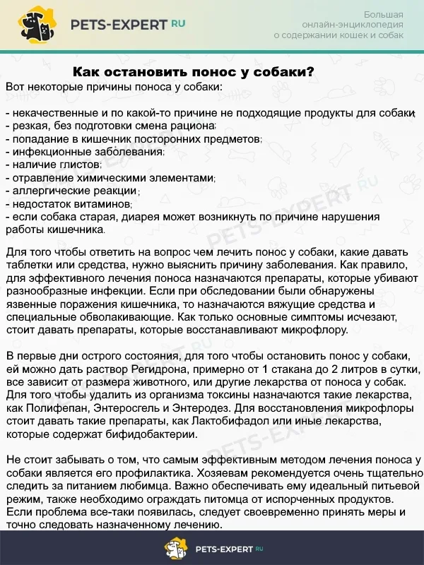Что делать если у собаки понос