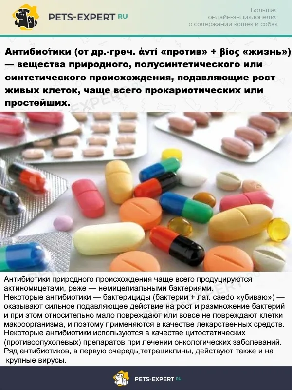 Что такое антибиотики и какими они бывают