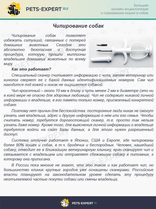 Чипирование собак
