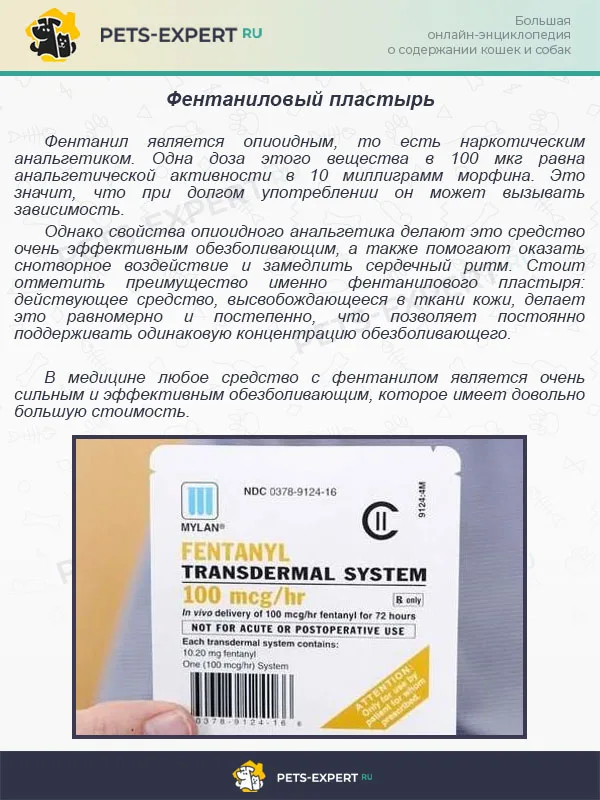 Фентаниловый пластырь