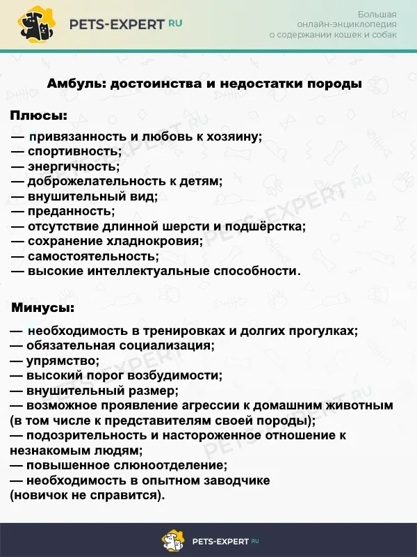 Плюсы и минусы амбулей