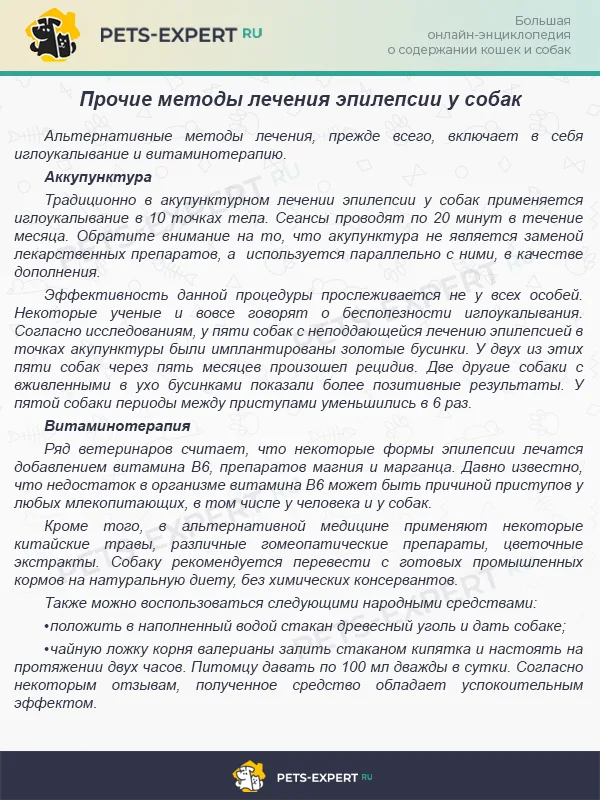 Альтернативные методы лечения эпилепсии у собак