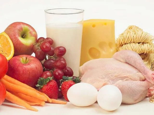 18Продукты питания взрослого грейхаунда