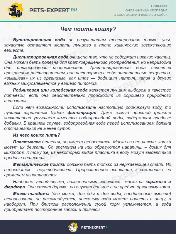 Какая вода полезней для кошки?