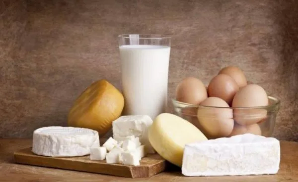 Вся кисломолочная продукция представляет опасность для организма собаки