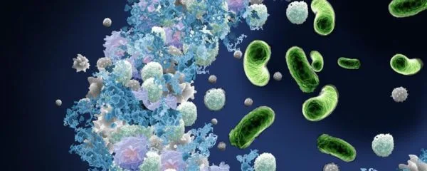 АСД-2 считается отличным антисептическим и антибактериальным средством