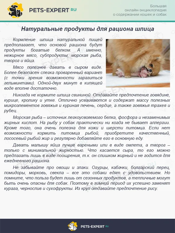 Полезные продукты для шпица