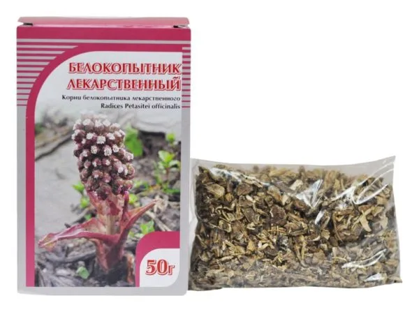 Белокопытник лекарственный