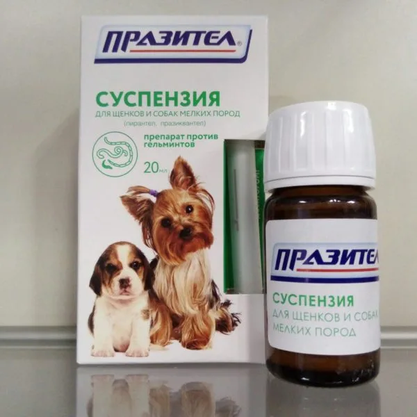 «Празител» — эффективное антигельминтное средство