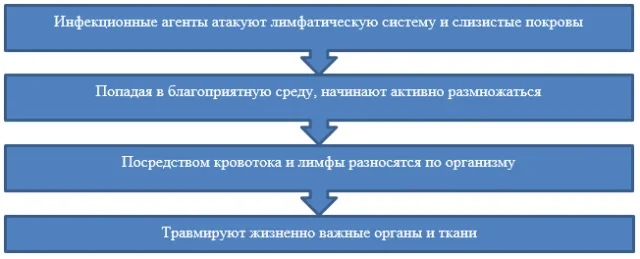 Принцип действия вируса