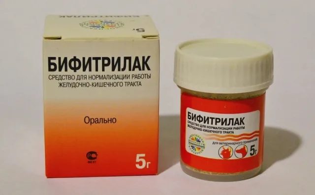 Бифитрилак и прочие пробиотики помогут кишечнику вашего питомца в работе