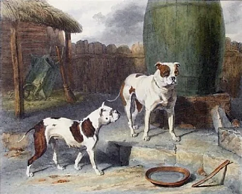 Бульдоги, 1814 год