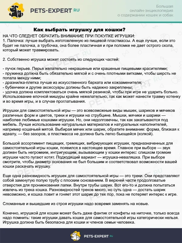 Выбираем игрушку для кошки