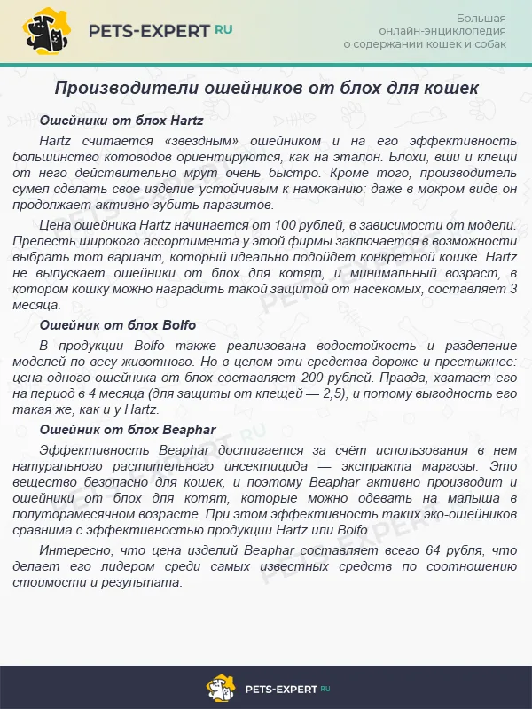 Выбираем ошейник от блох для кошки