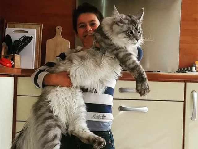 Для разных пород существуют свои весовые нормы
