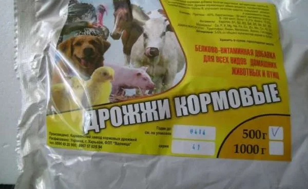 Дрожжи