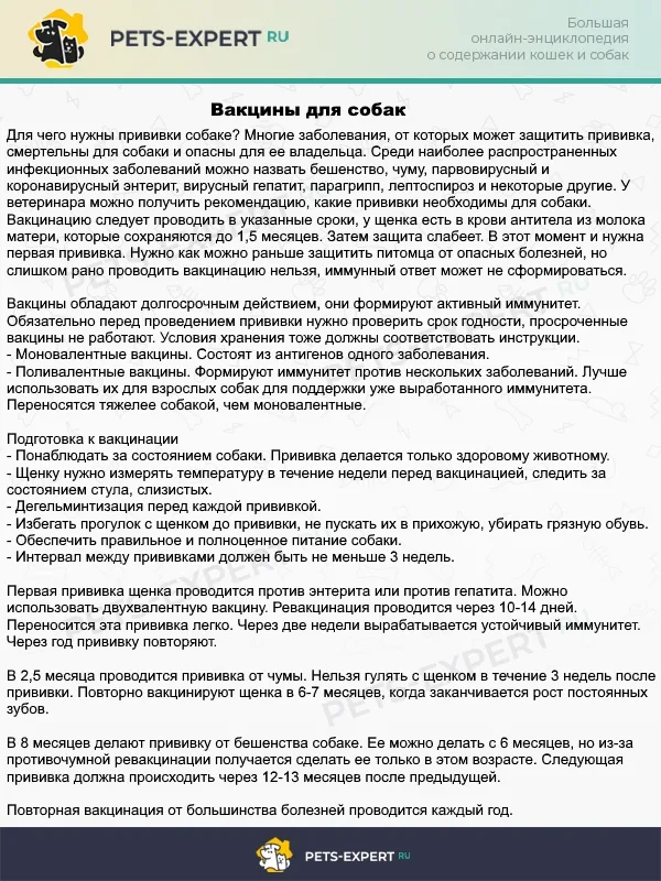 Зачем и как вакцинировать собаку