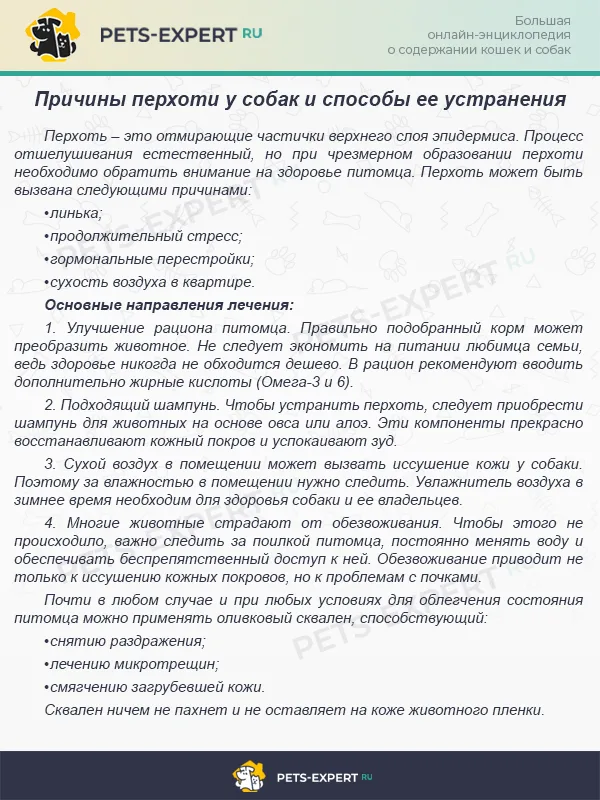 Избавляемся от перхоти у собак
