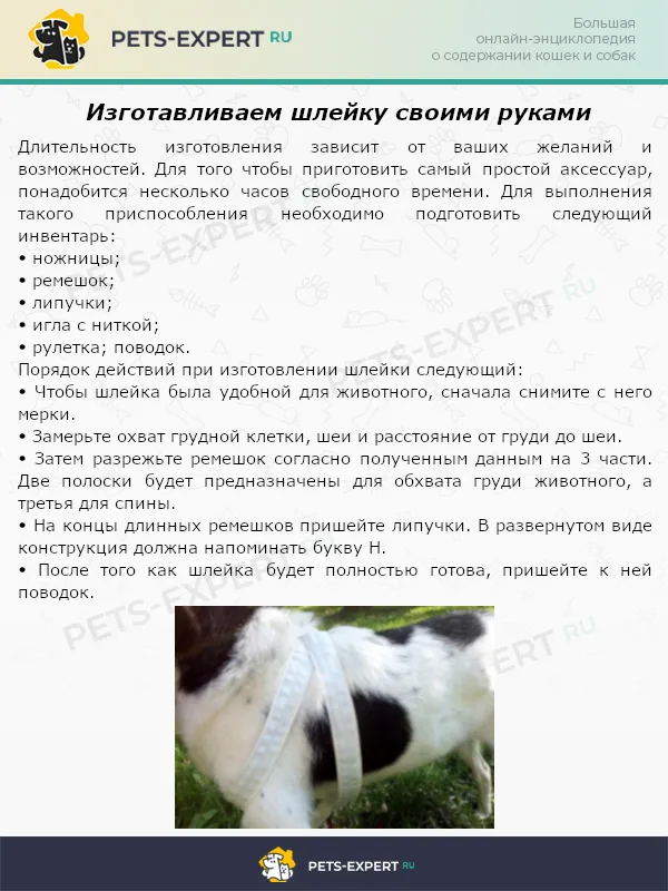 Изготавливаем шлейку своими руками