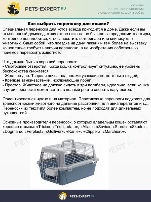 Каждый владелец кошки должен иметь сумку-переноску