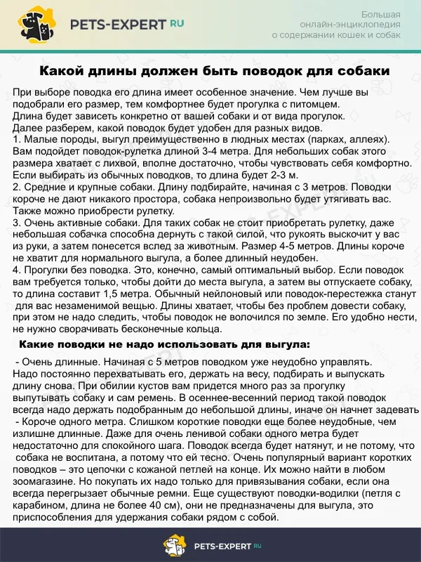 Какой длины должен быть поводок для собаки