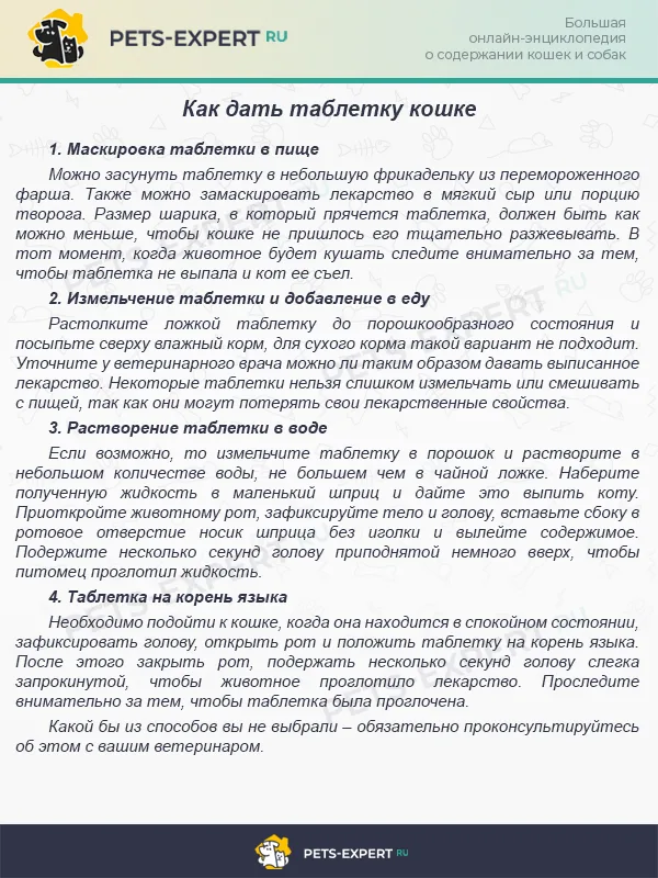 Как дать таблетку кошке