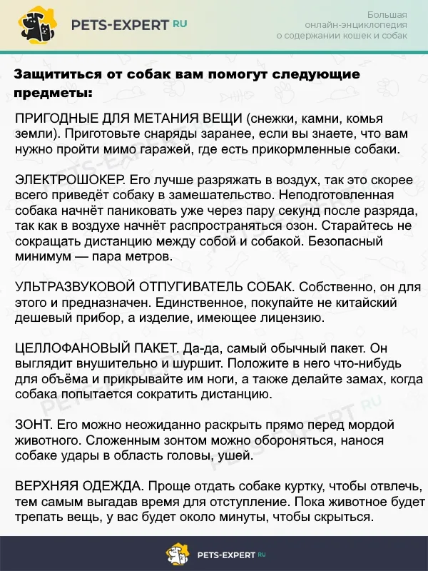Как защищаться от собаки, если она напала внезапно
