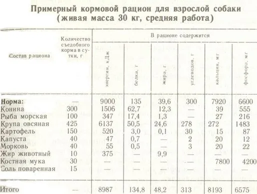 Как кормить собаку