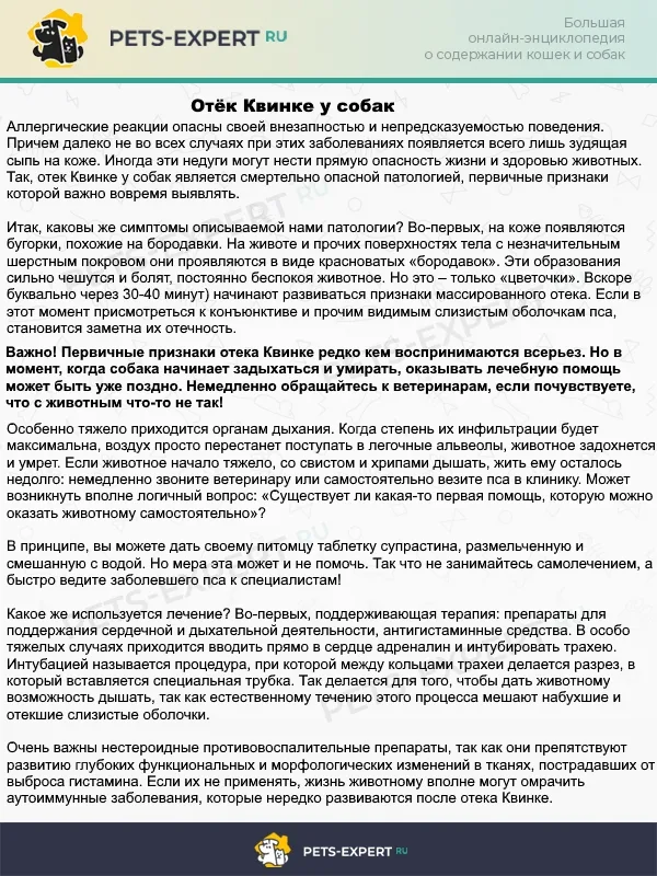 Как определить, что у собаки отёк Квинке и что делать