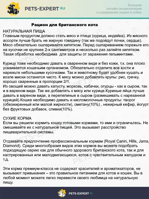Как правильно кормить британскую кошку