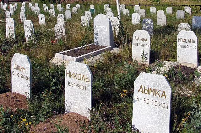 Кладбища домашних животных расположены, как правило, в больших городах