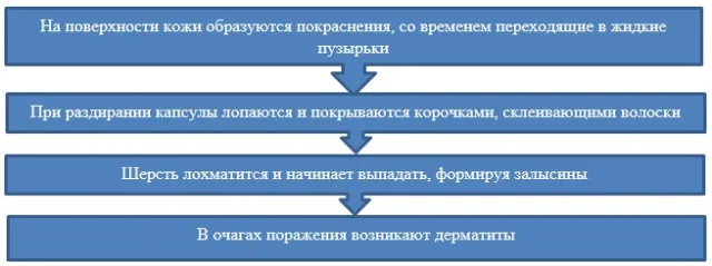 Клиника болезни