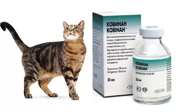 Ковинан (Covinan)