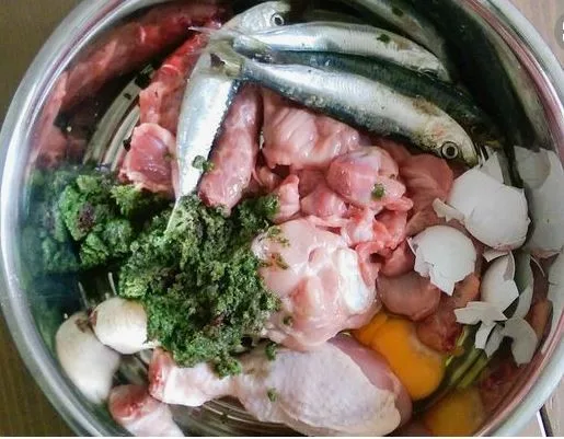 Кормление по «БАРФу» с морской рыбой