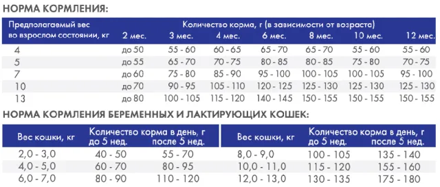 Номы кормления кошек