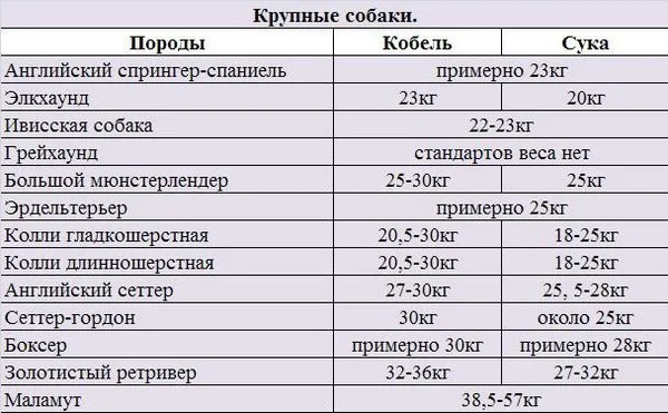 Нормальный вес крупных собак