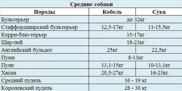 Нормальный вес средних собак