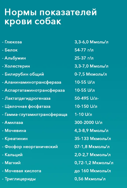 Нормы показателей крови собак