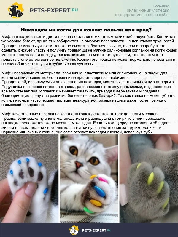 Нужно ли использовать защитные колпачки вместо когтеточки