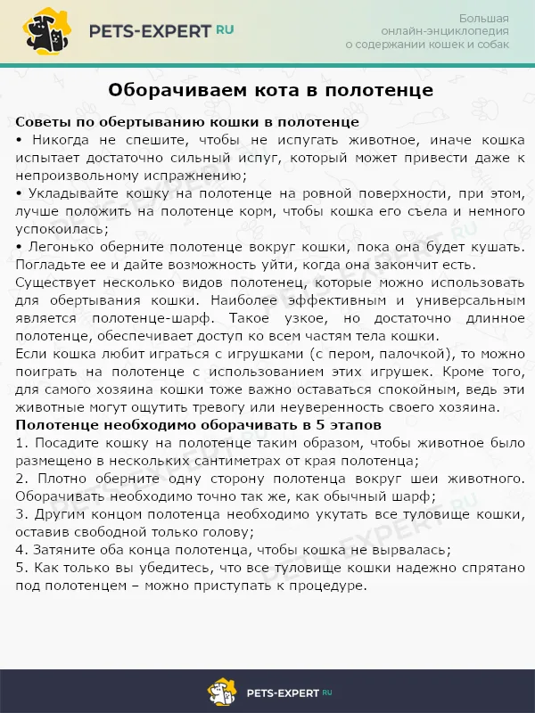 Оборачиваем кота в полотенце