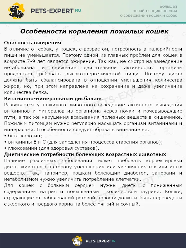 Особенности кормления пожилых кошек