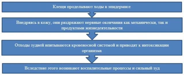 Особенности процесса
