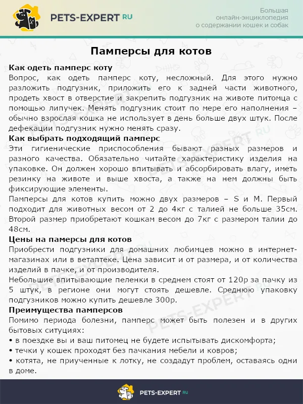 Памперсы для котов: применение и стоимость