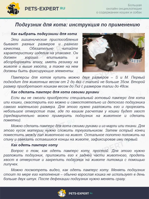 Подгузник для кота