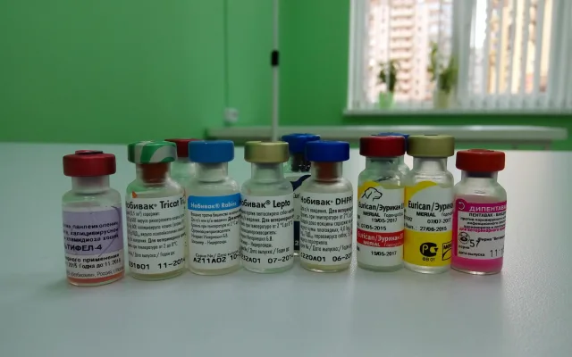 Препарат нужно выбирать после консультации со специалистом