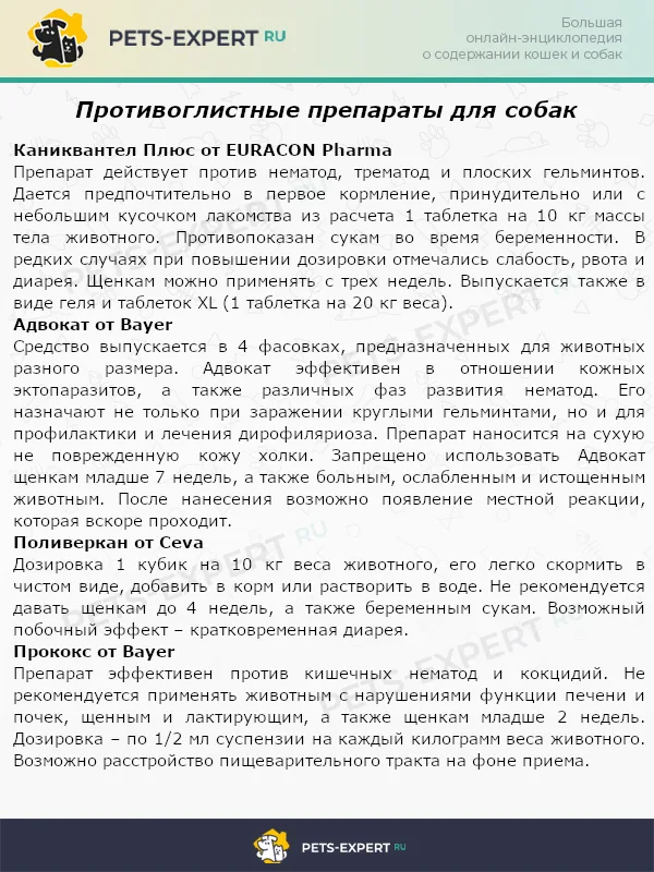 Противоглистные препараты для собак