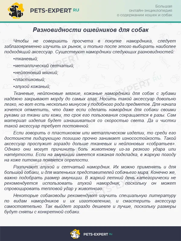 Разновидности ошейников для собак