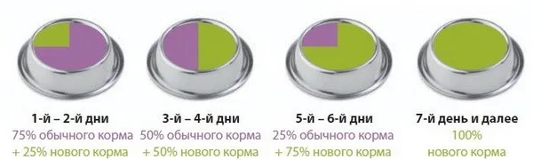 Резко менять корм запрещено