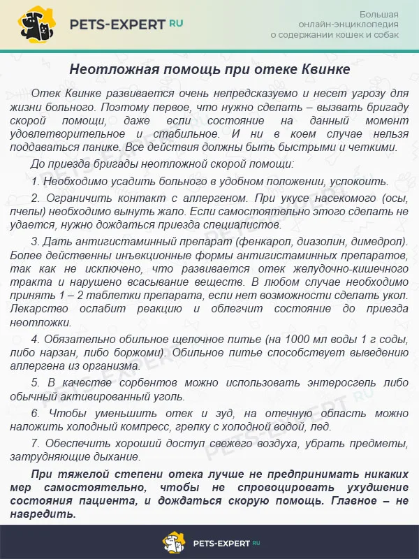 Неотложная помощь при отеке Квинке